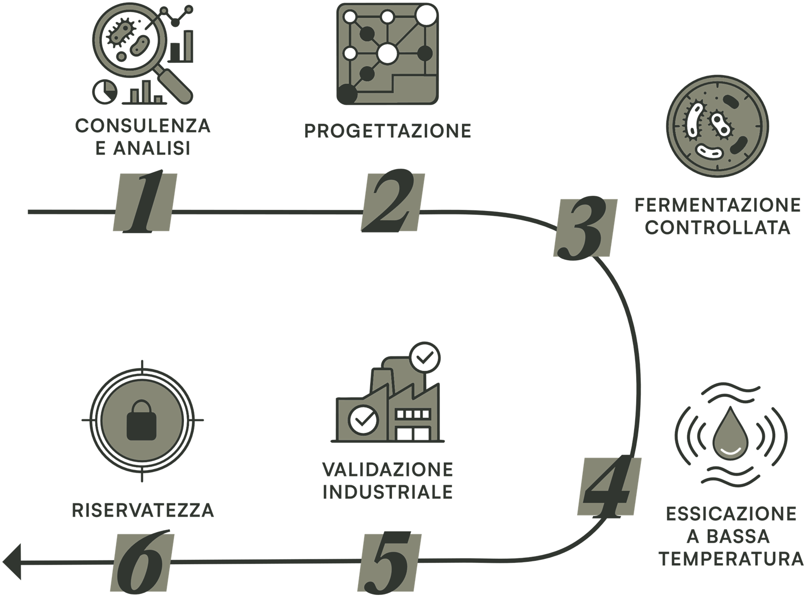 Il metodo MaterLab in sei fasi: 1 Consulenza e analisi, 2 Progettazione, 3 Fermentazione controllata, 4 Essicazione a bassa temperatura, 5 Validazione industriale, 6 Riservatezza.